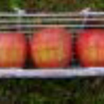 歩け！歩け！日本列島。徒然日記