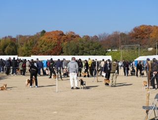 2025全国展ＩＮ兵庫Ⅱ