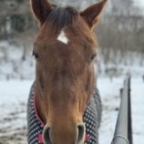 『冬を乗り越え』の画像