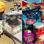 ニャンニャンみずほ　地域猫の会