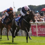 POG Bloodstock