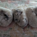 そば定食