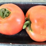 自然農菜園「はたけや」の作業日誌