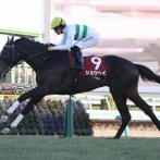 【大阪杯】ショウヘイ川田w w w w w