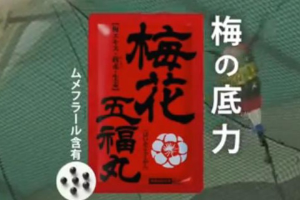 ムラタ漢方 こくヌキ王国とまさかのコラボへ 帝聖速報