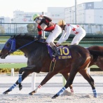 【東京大賞典】ディクテオンに負ける中央馬たちｗｗｗ