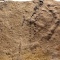 〈画像〉約5億4100万年前の最古の動物の足跡、中国で発見 研究［06/07］
