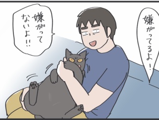 絶対抱っこされた猫は嫌がってる