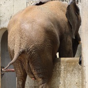 砥愛ちゃんのお転婆水浴び♪