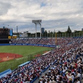 大学野球の部員数が18年で7400名増加！その理由とは？