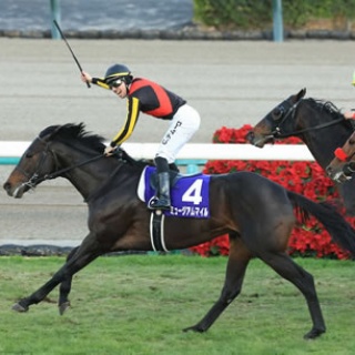 ☆うまなみ・競馬にゅーす速報