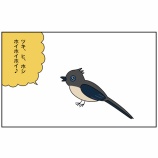 『由来って結構おもしろい』の画像