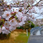 知りたいこといっぱい！