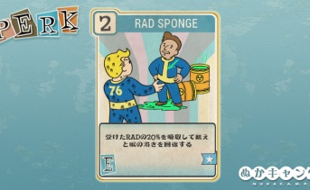 Fallout 76：Rad Sponge（Endurance）