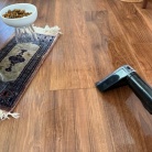 【PR】ペット周りをキレイに♪ クリーナーと消臭スプレー