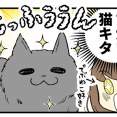 病院で遭遇したデカ猫さんと猫マスターの話