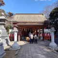 ҽʼ硢