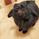 冬休みのこんぶ