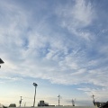 GW色々④　(*ΦωΦ*)にゃー