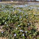 静かで穏やかな日々