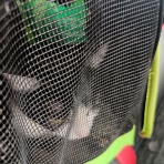 よく死によく落ちよく迷う