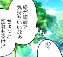 新緑を楽しもう♪