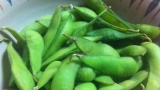 店員「こちら、枝豆になりま～す！」パッパ「！（シュバババ」