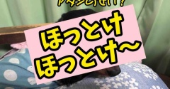 どんちゃん病院に行きました。