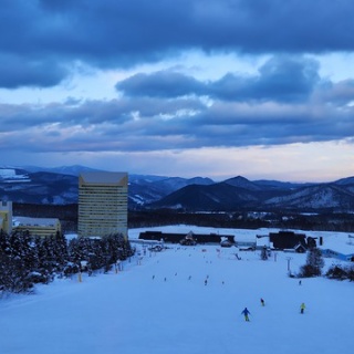 きまじめチキン日記