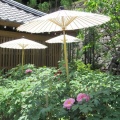 花の寺　長谷寺へ3