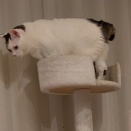 そわそわの理由