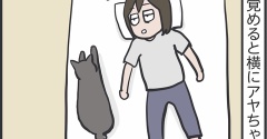 顔が嫌ってこと…？