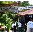 付知峡
