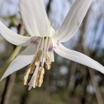 山ガールの作り方