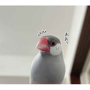 本日のラッキーアイテム占い