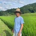 奥伊予　稲木米　契約米のご案内