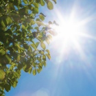 初夏の紫外線対策で差がつく!髪と頭皮を守るケア方法