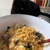 【ご飯＆猫日記】3000カロリーは食べたぞ・丸鶏を2匹と2人で