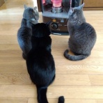 木のおもちゃで楽しい子育て