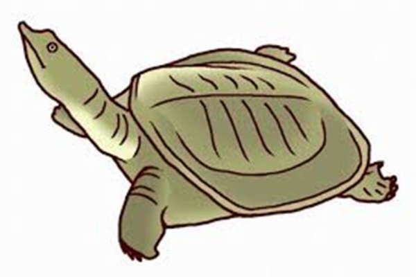 なんちゃって親父と時計と音楽と 15年10月 なんちゃって親父と時計と音楽と 15年10月