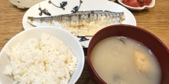 【ななし】ねるちゃん「ほーら血糖値とコレステロールが危ないおじさんにも優しいご飯だよ〜」