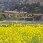 鉄橋のある鉄道風景のblog