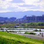 河川敷気持ち良すぎワロタｗｗｗ
