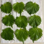 茄子料理とおむつ替えの練習