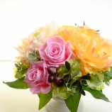 �����뤯�Ȥ��ʥ��᡼���˻ž夬�ä����۽ˤ��Υ���󥸡٤β���