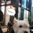 急激に悪くなる外耳炎