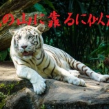 『本当の坐禅の仕方ー井上貫道老師』の画像