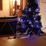 アナベルにかこまれて