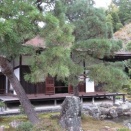 2025年　京都の旅　その11　東求堂（とうぐどう）