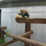 『【動物ふれあい】埼玉県こども動物自然公園に行ってきました』の画像